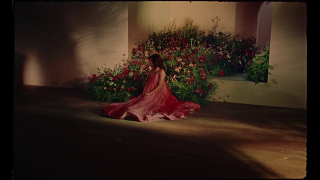 Video Reference: Photograph, Red, Pink, Dress, Petal, Gown, Photography, Floral design, Flower, Flower Arranging