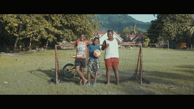 Video Reference: land vehicle, people, nature, tree, mammal, vertebrate, woody plant, day, vehicle, grass