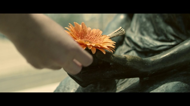 Video Reference: Flower, Plant, Petal, Organism, Gesture, People in nature, Finger, Sky, Tints and shades, Nail