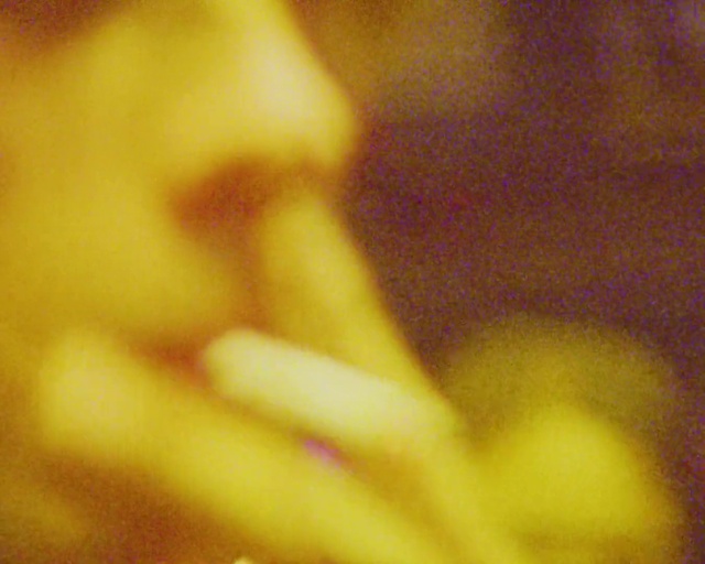 Video Reference: Amber, Plant, Tints and shades, Petal, Pattern, Macro photography, Peach