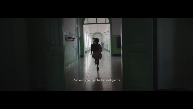 Video Reference: Black, Photograph, Darkness, Light, Snapshot, Standing, Photography, Digital compositing, Architecture, Screenshot, Person