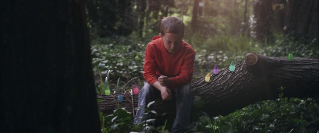 Video Reference: People in nature, Nature, Forest, Photograph, Woodland, Natural environment, Wilderness, Jungle, Vegetation, Old-growth forest