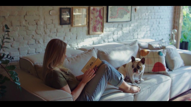 Video Reference: Room, Canidae, Snapshot, Dog, Friendship, Companion dog, Leg, Comfort, Carnivore, Furniture