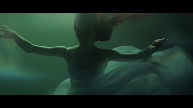 Video Reference: Underwater, Water, Organism, Cg artwork, Photography, Screenshot, Fictional character