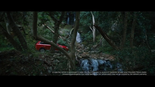 Video Reference: forest, nature, woodland, ecosystem, wilderness, tree, jungle, old growth forest, nature reserve, screenshot