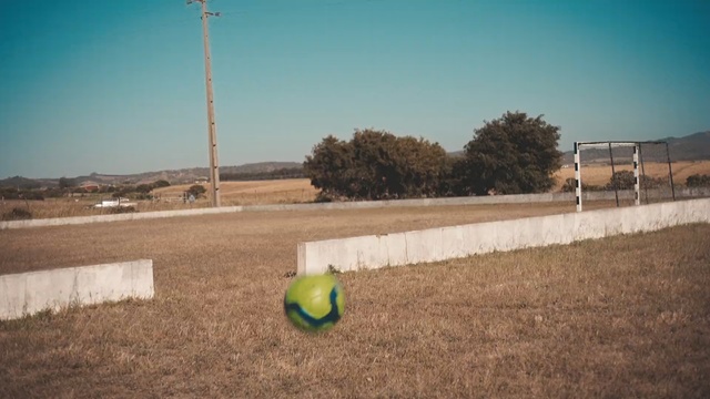 Video Reference: sky, field, rural area, grass, landscape, area, grass family, soil, land lot, farm