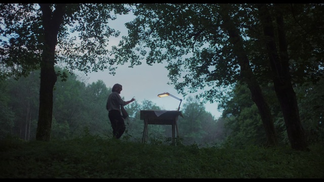 Video Reference: Nature, Forest, Woodland, Atmospheric phenomenon, Natural environment, Tree, Morning, Sunlight, Jungle, Photography, Grass, Outdoor, Man, Standing, Field, Holding, Green, Front, Grassy, Walking, Hill, Woman, Park, Horse, Riding, Bench, Water, Person, Furniture, Plant, Piano, Wooded