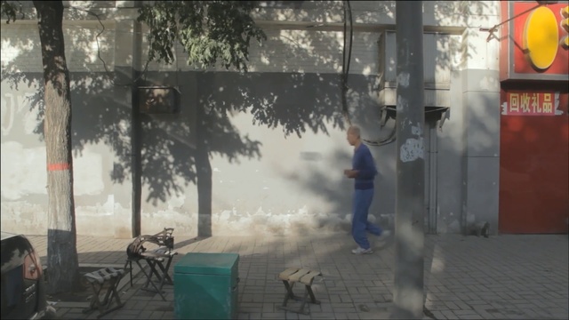 Video Reference: Snapshot, Tree, Photography, Plant, Window, World, Winter, Art, Screenshot