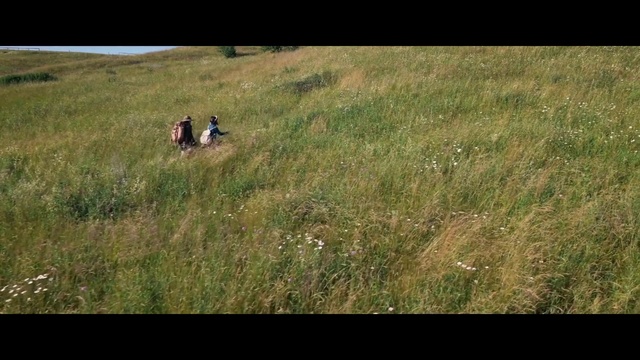Video Reference: Grassland, Grass, Pasture, Natural environment, Prairie, Meadow, Grass family, Ecoregion, Steppe, Wildlife