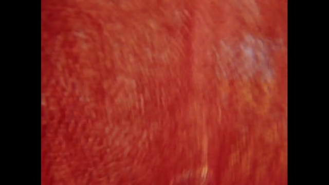 Video Reference: Red, Skin, Orange, Close-up, Peach, Flesh, Mouth, Chin, Lip, Pink