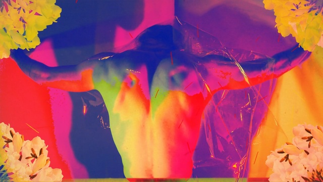 Video Reference: red, yellow, pink, art, flower, modern art, petal, computer wallpaper, fun, magenta, Person