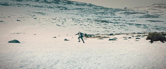 Video Reference: Sand, Sea, Sky, Ocean, Winter, Wave, Beach, Snow, Wind wave, Vacation
