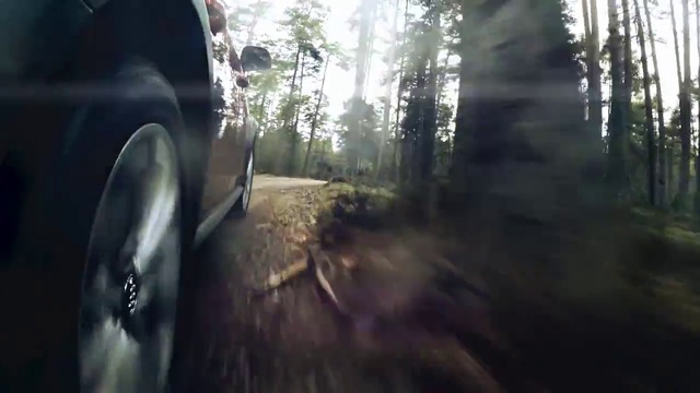 Video Reference: Nature, Woodland, Natural environment, Forest, Off-roading, Tree, Automotive tire, Sunlight, Wilderness, Vehicle