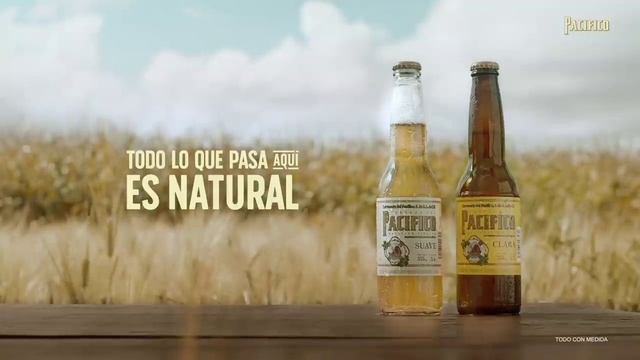 Video Reference: Cloud, Bottle, Liquid, Drinkware, Sky, Beer, Glass bottle, Solution, Ingredient, Beer bottle