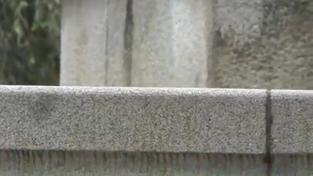 Video Reference: wall, wood, material, grass, fence, concrete, tree