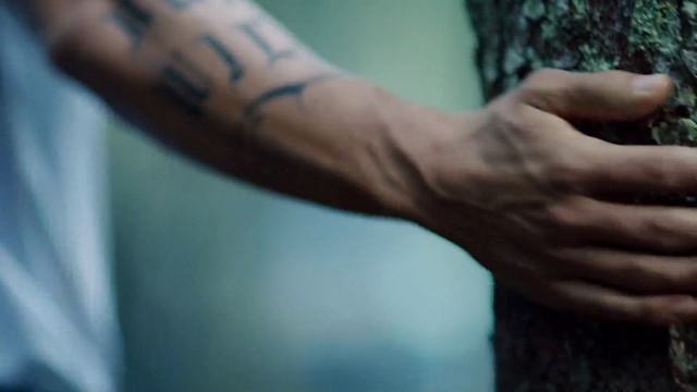 Video Reference: Arm, Skin, Finger, Tattoo, Hand, Wrist, Joint, Muscle, Close-up, Human body, Person, Man, Holding, Front, Sitting, Close, Table, Woman, Cake, Shirt, Green, Cutting, Pizza, Standing, White, Plate, Blue