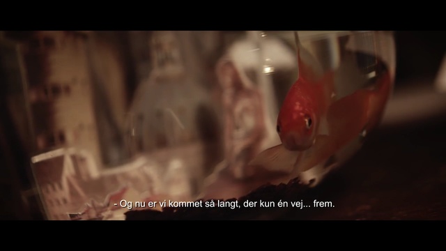 Video Reference: stemware, mouth, wine glass, screenshot, flesh, darkness, still life photography, blood, jaw, glass, Person