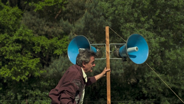 Video Reference: nature, tree, fun, plant, grass, recreation, sky