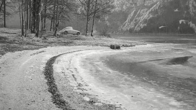 Video Reference: snow, black and white, freezing, winter, monochrome photography, geological phenomenon, tree, path, monochrome, road
