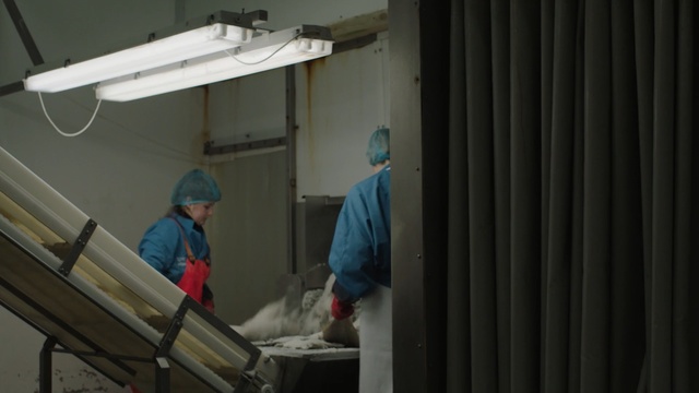 Video Reference: window