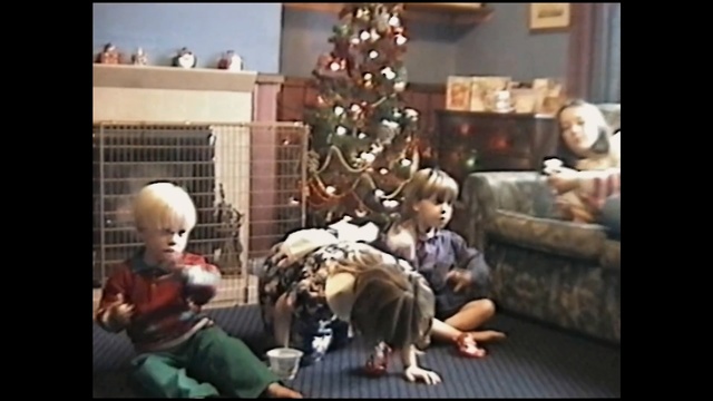 Video Reference: mammal, vertebrate, mode of transport, sitting, christmas decoration, performance art, recreation, fun, play, event, Person