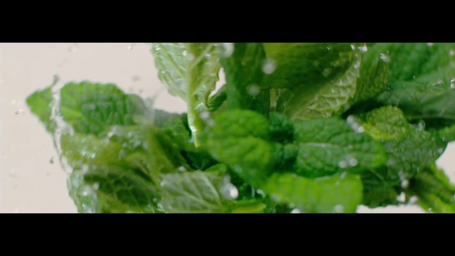 Video Reference: Leaf, Plant, Leaf vegetable, Flower, Spinach, Spring greens, Chard, Herb, Lettuce, Food