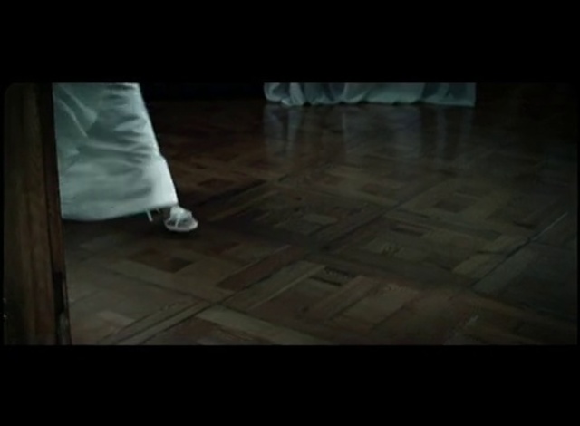 Video Reference: Floor, Black, Hardwood, Photograph, Flooring, White, Darkness, Wood, Light, Lighting