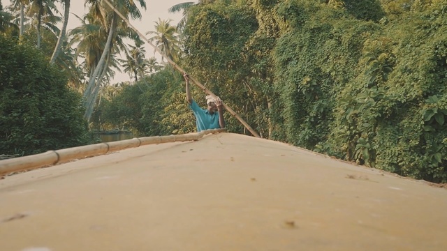 Video Reference: Tree, Road, Sand, Plant, Thoroughfare