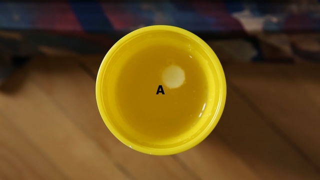 Video Reference: yellow, macro photography