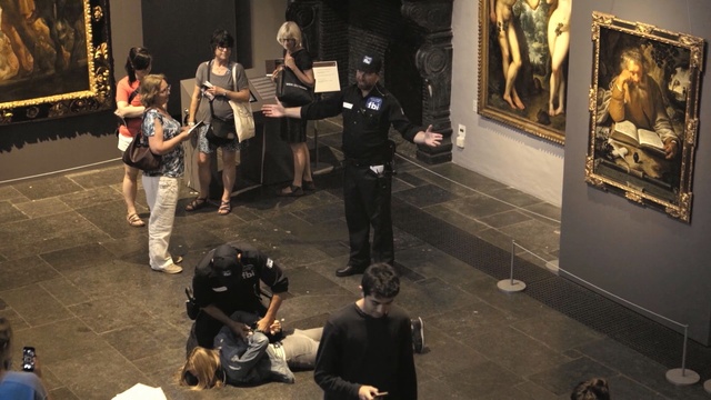 Video Reference: tourist attraction, exhibition, event, museum, recreation, Person