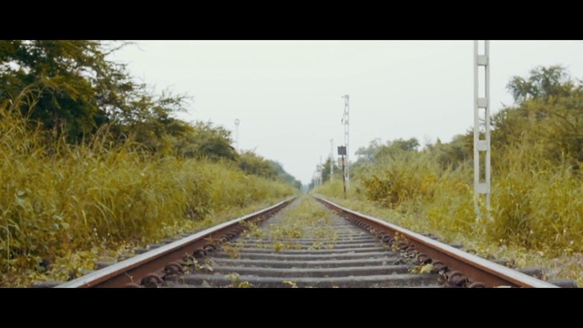 Video Reference: Track, Transport, Nature, Mode of transport, Atmospheric phenomenon, Thoroughfare, Yellow, Grass, Grass, Tree