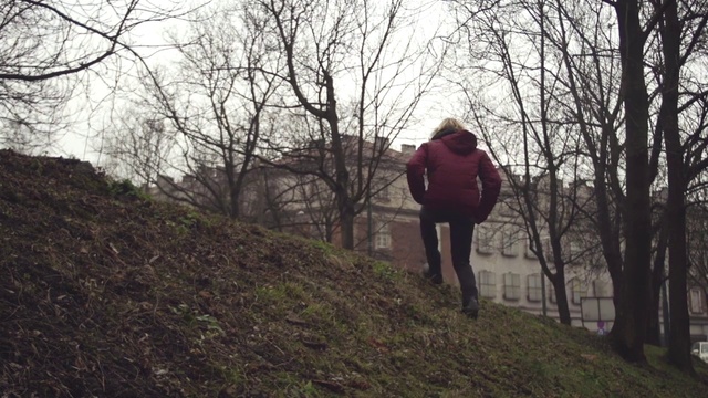 Video Reference: People in nature, Photograph, Nature, Tree, Woodland, Wilderness, Natural environment, Forest, Branch, Winter