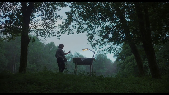 Video Reference: People in nature, Nature, Woodland, Forest, Natural environment, Tree, Atmospheric phenomenon, Wilderness, Morning, Sunlight, Person, Grass, Outdoor, Man, Standing, Field, Green, Holding, Front, Grassy, Walking, Park, Woman, Hill, Water, Bench, Horse, Dog, Riding, Furniture, Plant, Fog, Wooded