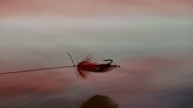 Video Reference: Fishing bait, Fishing lure, Bait, Red, Artificial fly, Fly, Pest, Insect, Organism, Macro photography