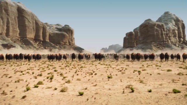 Video Reference: historic site, badlands, desert, ecosystem, rock, wadi, wilderness, aeolian landform, tourist attraction, formation