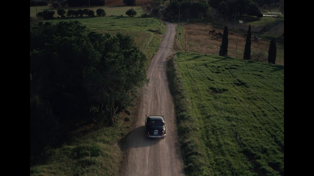 Video Reference: Plant, Car, Vehicle, Ecoregion, Infrastructure, Tree, Road surface, Land lot, Grass, Vegetation