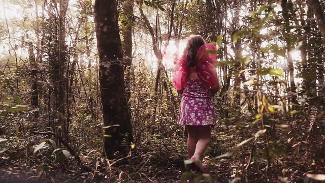 Video Reference: Plant, People in nature, Natural environment, Wood, Twig, Tree, Natural landscape, Trunk, Fawn, Grass