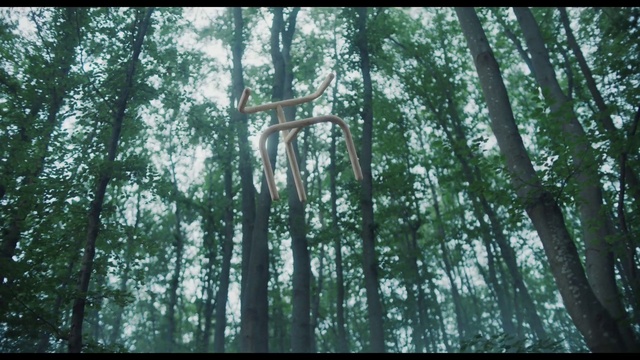 Video Reference: Tree, Forest, Nature, Old-growth forest, Natural environment, Woodland, Vegetation, Nature reserve, Tropical and subtropical coniferous forests, Northern hardwood forest, Outdoor, Plant, Standing, Park, Bench, Green, Covered, Woman, Young, Man, Large, Air, Snow, White, Tall, Field, Statue, Sky, Wooded