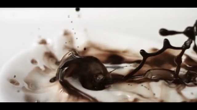 Video Reference: Chocolate, Chocolate syrup, Macro photography, Dessert, Still life photography, Photography, Indoor, White, Small, Plate, Food, Black, Sitting, Cat, Laying, Bowl, Dog, Table, Playing