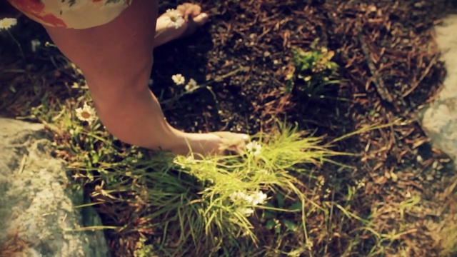 Video Reference: grass, soil, plant, tree, leg, foot, grass family, girl, barefoot