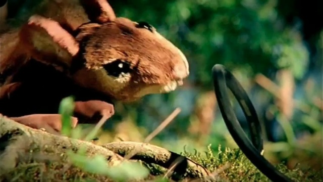 Video Reference: Head, Plant, Jaw, Grass, Whiskers, Fawn, Felidae, Terrestrial animal, Terrestrial plant, Wood