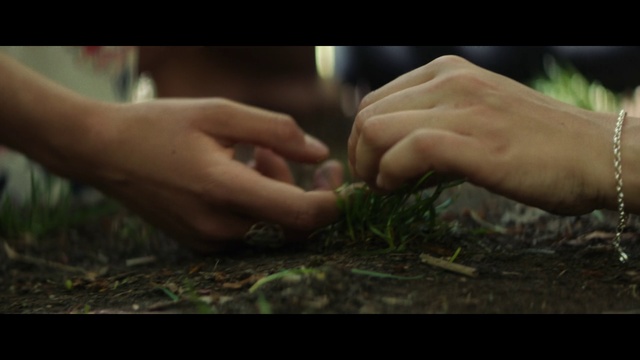 Video Reference: Leaf, Hand, Finger, Soil, Arm, Grass, Plant, Leg, Mouth, Photography