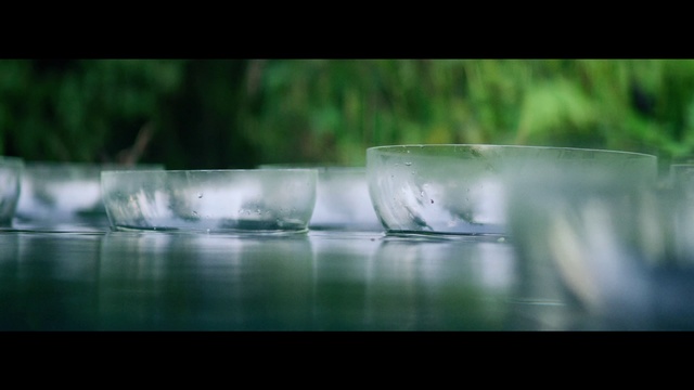 Video Reference: Water, Nature, Green, Water resources, Reflection, Morning, Atmosphere, Grass, Photography, Drop