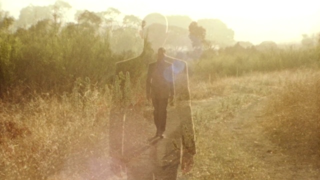 Video Reference: Atmospheric phenomenon, Light, Sunlight, Dust, Morning, Grass family, Grass, Grassland, Photography, Ecoregion