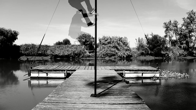 Video Reference: water, reflection, black and white, tree, monochrome photography, sky, plant, photography, monochrome, bayou