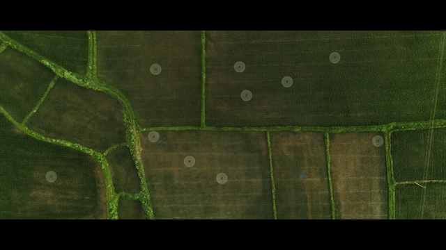 Video Reference: Green, Leaf, Land lot, Grass, Aerial photography, Circle, Photography, Symmetry, Landscape, Plant