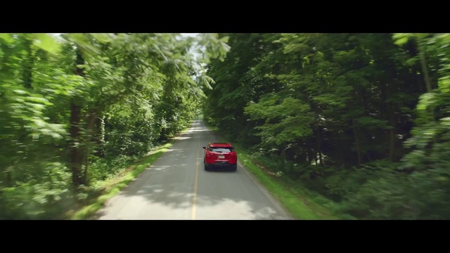 Video Reference: Nature, Green, Mode of transport, Road, Vegetation, Lane, Natural environment, Vehicle, Tree, Thoroughfare