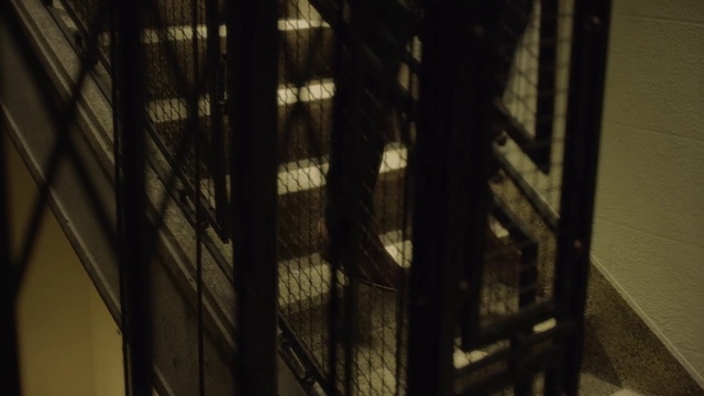 Video Reference: Architecture, Room, Plant, Shadow, Metal