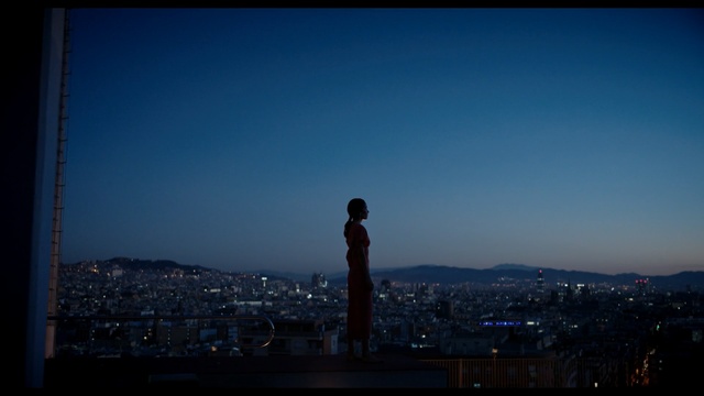 Video Reference: sky, skyline, atmosphere, horizon, city, cloud, urban area, daytime, morning, evening