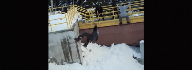 Video Reference: Snow, Winter, Snapshot, Freezing, Stallion, Event, Bull, Horse, Ice